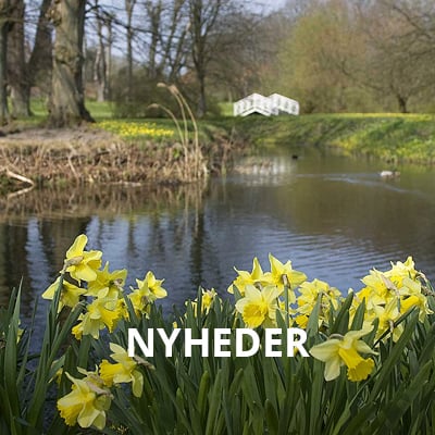 Nyheder